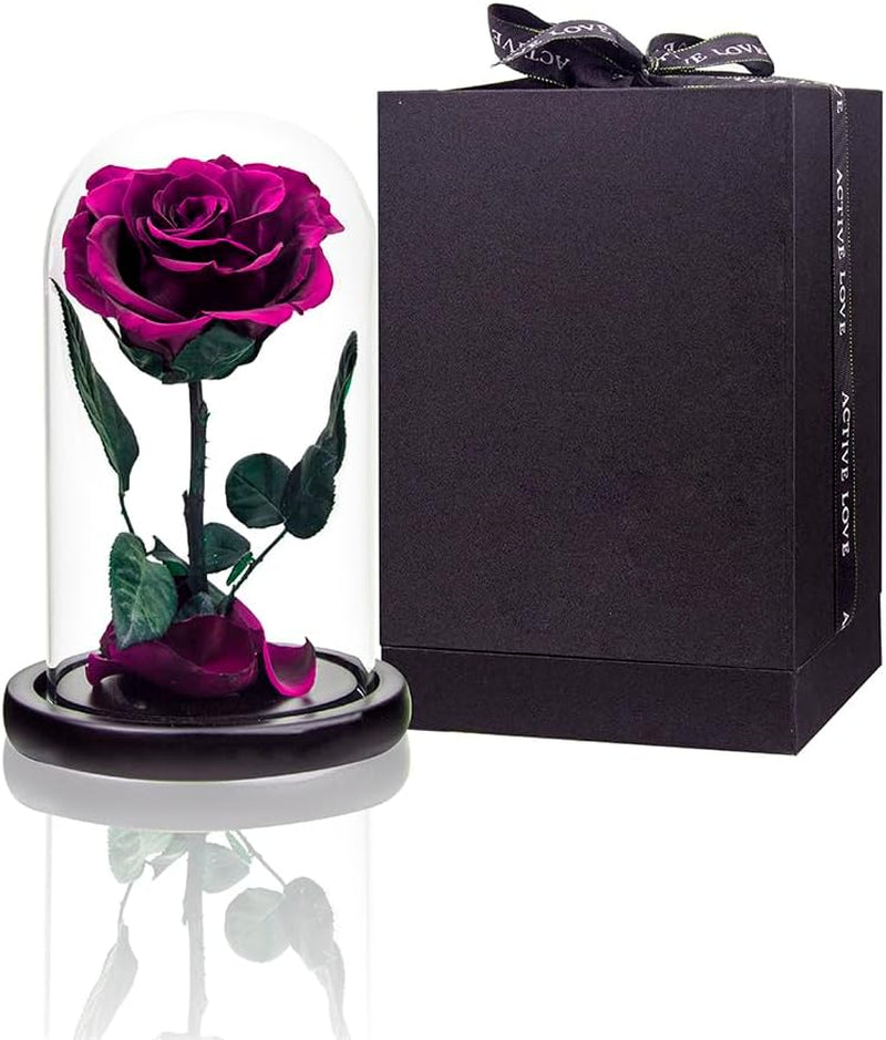 Purple Preserved Rose in Glass Dome Gift
