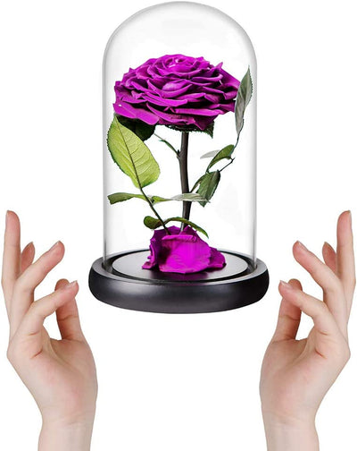 Purple Preserved Rose in Glass Dome Gift