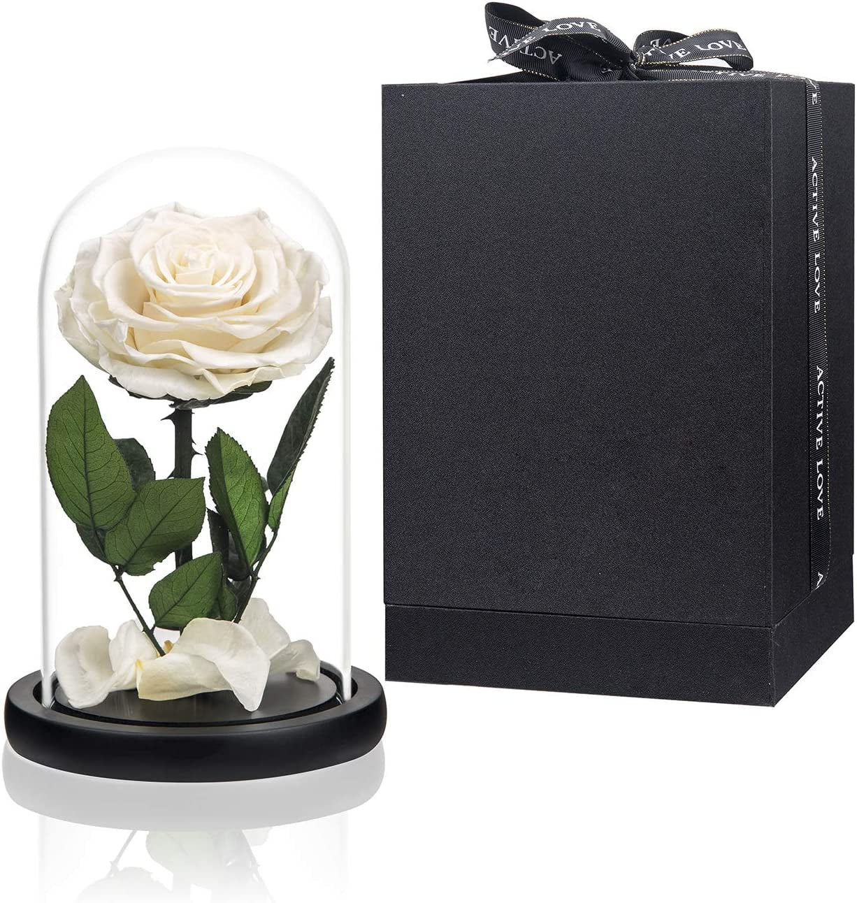 Purple Preserved Rose in Glass Dome Gift