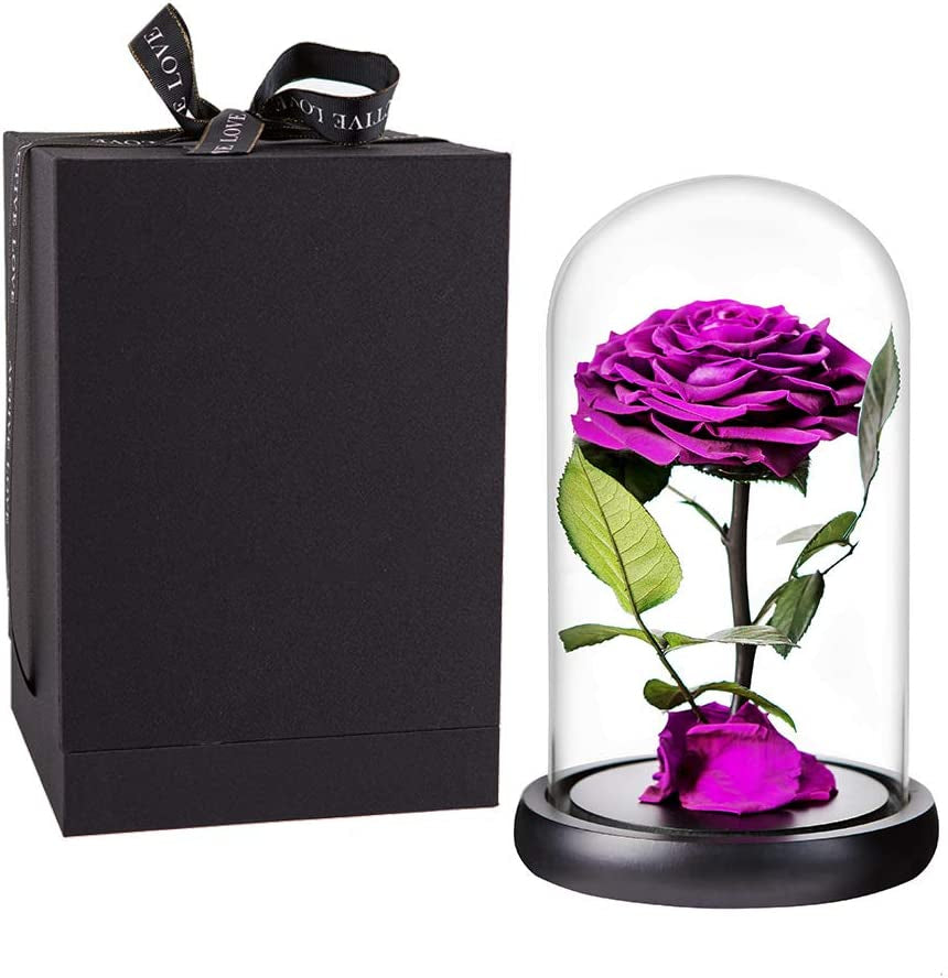 Purple Preserved Rose in Glass Dome Gift