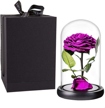 Purple Preserved Rose in Glass Dome Gift