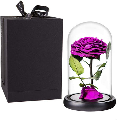 Purple Preserved Rose in Glass Dome Gift