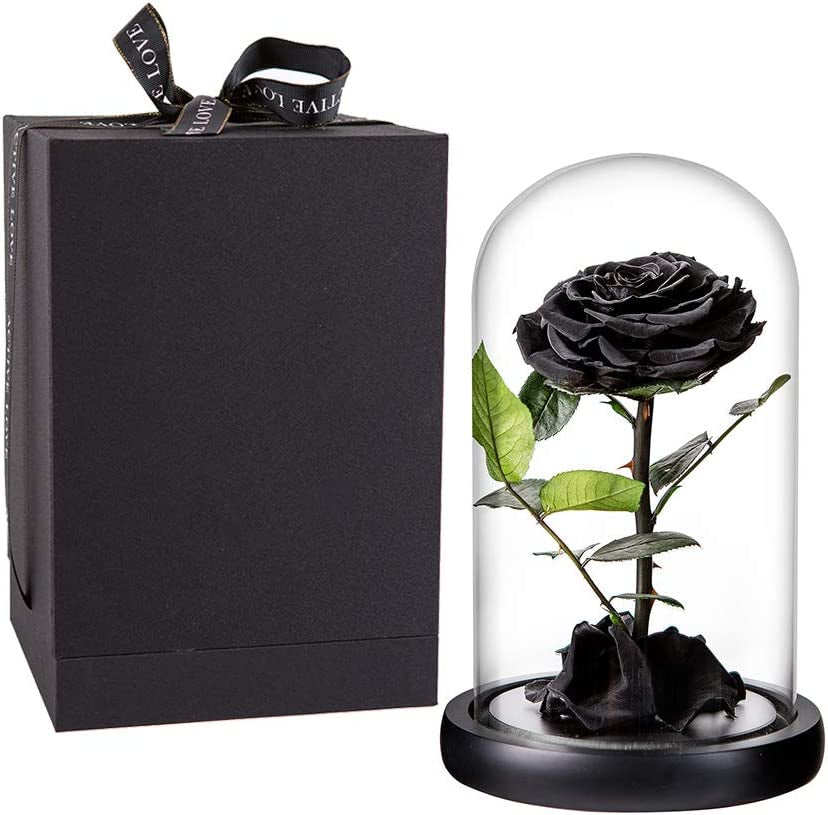 Purple Preserved Rose in Glass Dome Gift