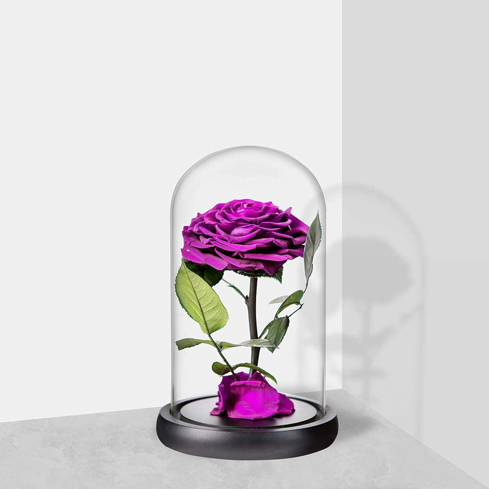 Purple Preserved Rose in Glass Dome Gift