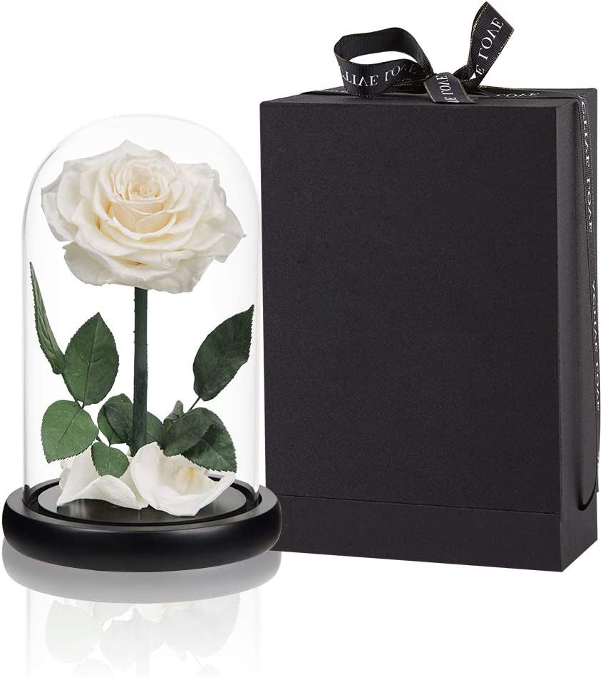 Purple Preserved Rose in Glass Dome Gift