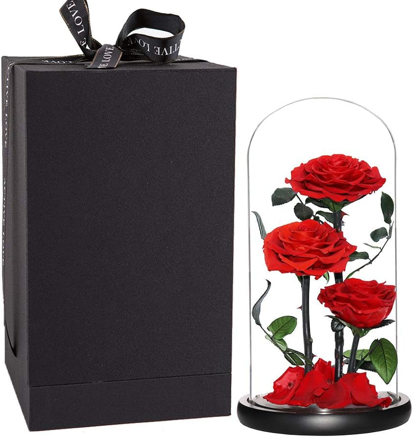 Purple Preserved Rose in Glass Dome Gift