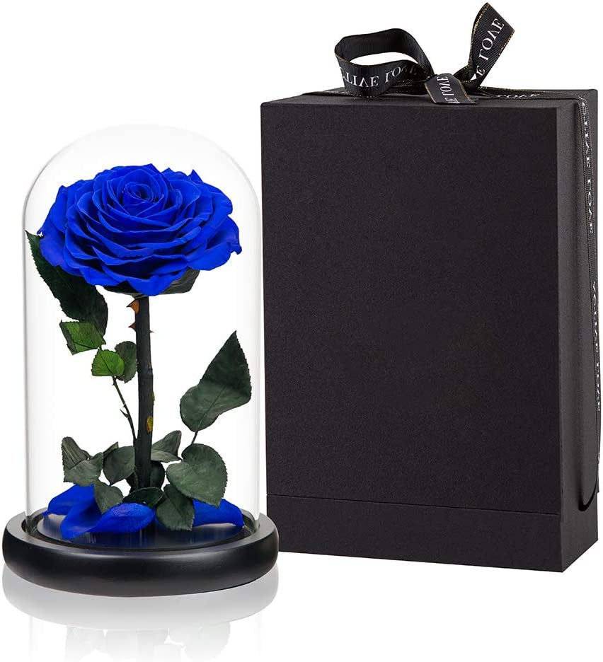 Purple Preserved Rose in Glass Dome Gift