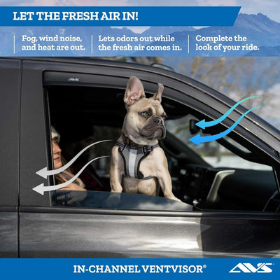 In-Channel Window Rain Guards (2PCS)