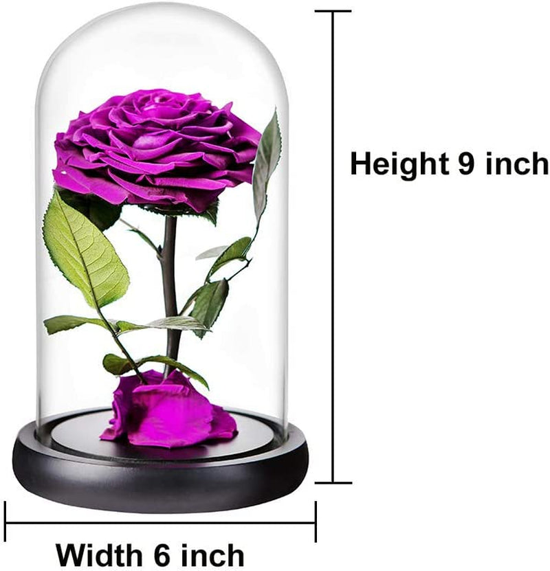 Purple Preserved Rose in Glass Dome Gift