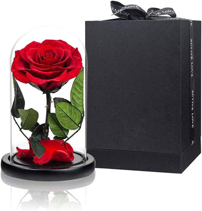Purple Preserved Rose in Glass Dome Gift